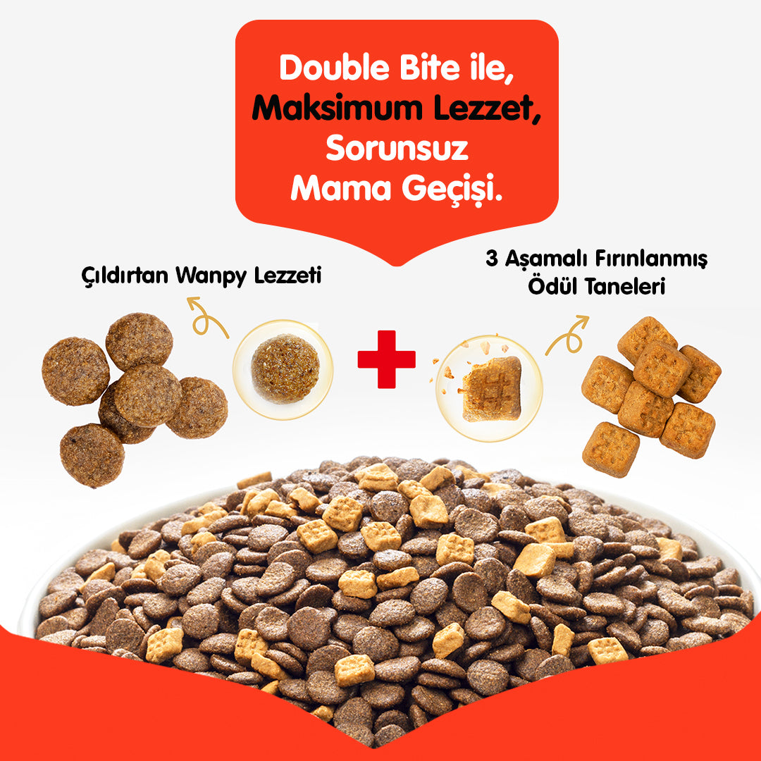 Wanpy Tahılsız Somonlu Yetişkin Kedi Maması 8 Kg