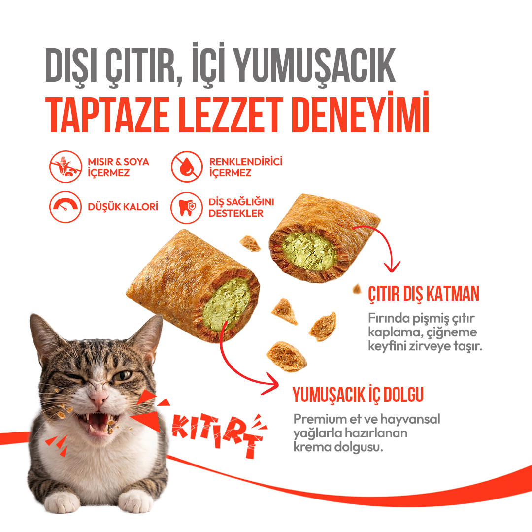Wanpy Kedi Crunch Ödül Catnipli & Tavuklu 60g