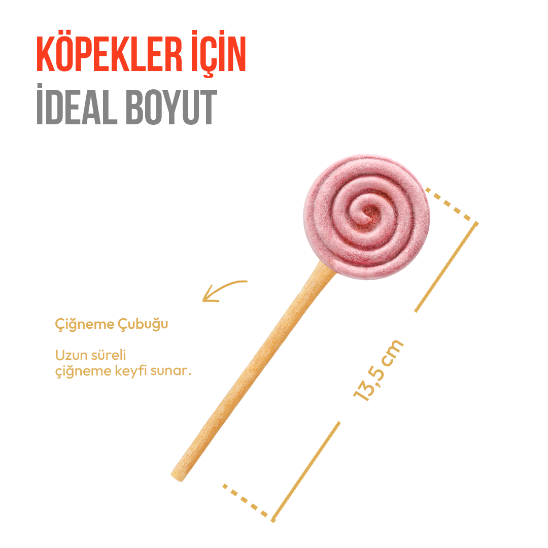 Wanpy Köpekler İçin Dondurularak Kurutulmuş Lolipop – Yaban Mersinli