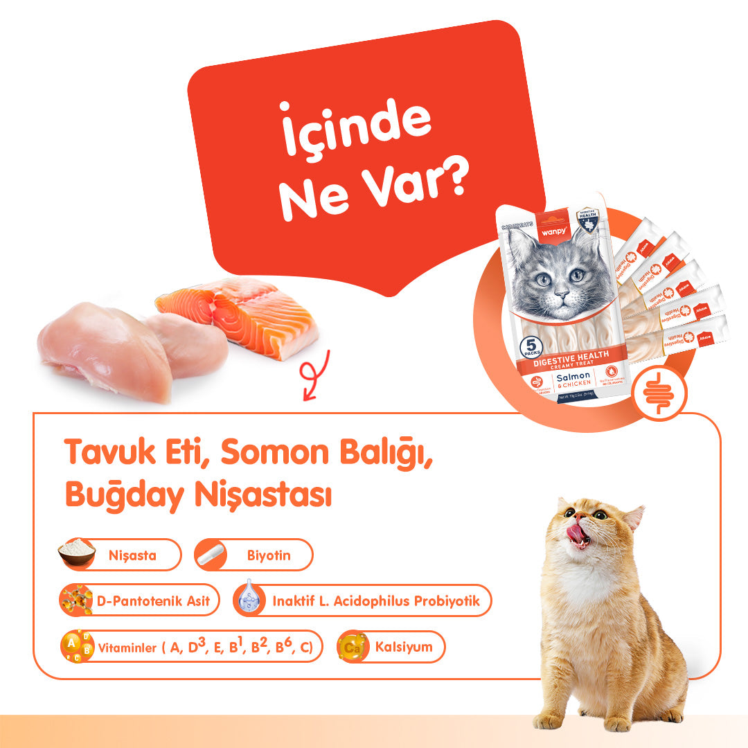 Wanpy Sindirim Sağlığı Destekleyici Fonksiyonel Kedi Kreması