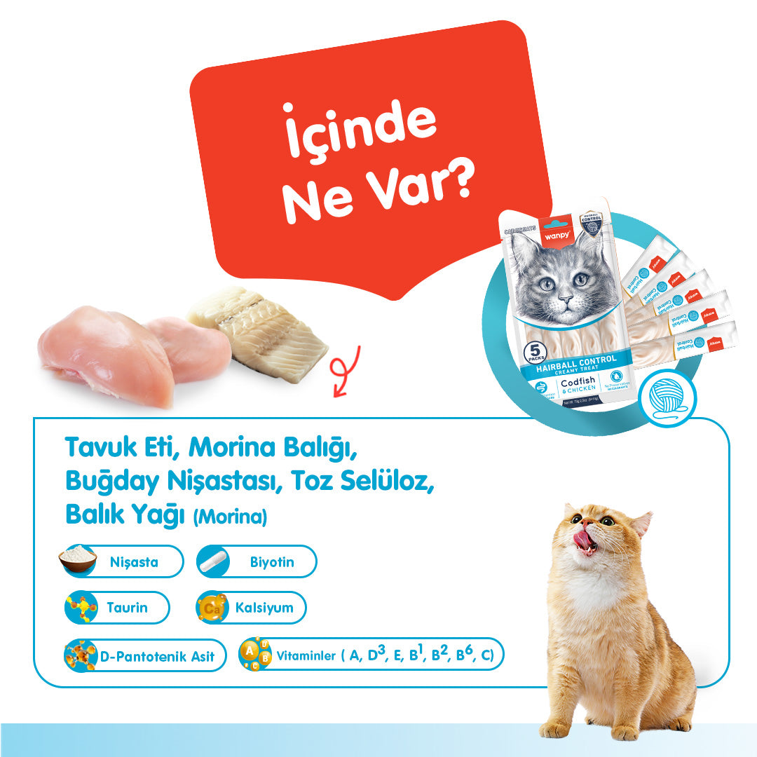 Wanpy Tüy Yumağı Önleyici Fonksiyonel Kedi Kreması