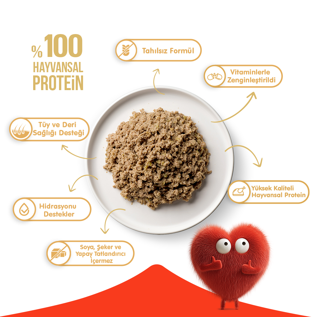 Wanpy Tahılsız Köpek %100 Gerçek Et Biftekli Konserve 375 gr