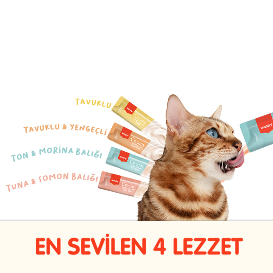 Wanpy Karışık 4 Lezzet 100'lü Krema Kedi Ödülü 100x14 gr