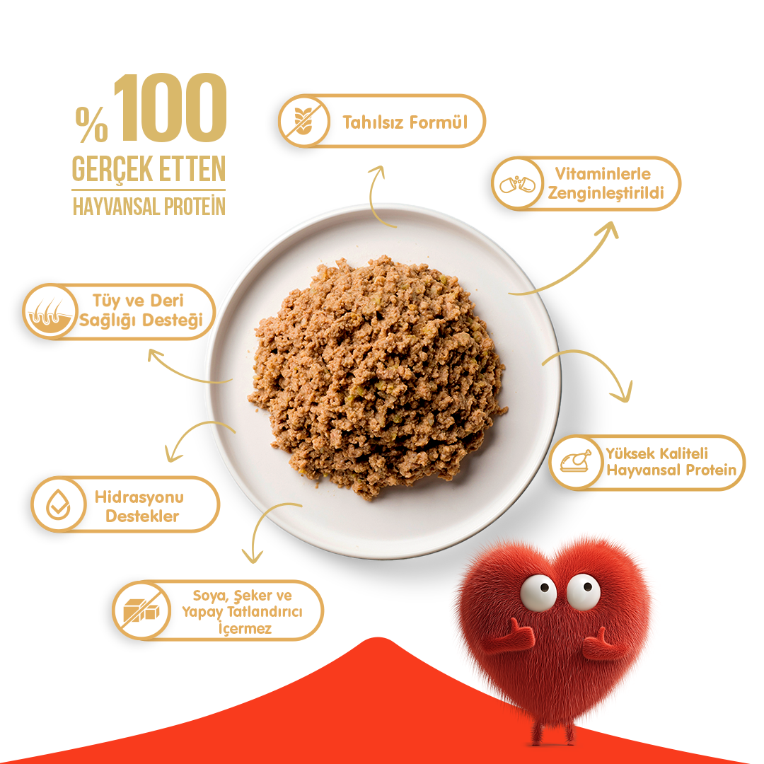 Wanpy Tahılsız Kedi %100 Gerçek Et Kuzulu Konserve 375 gr