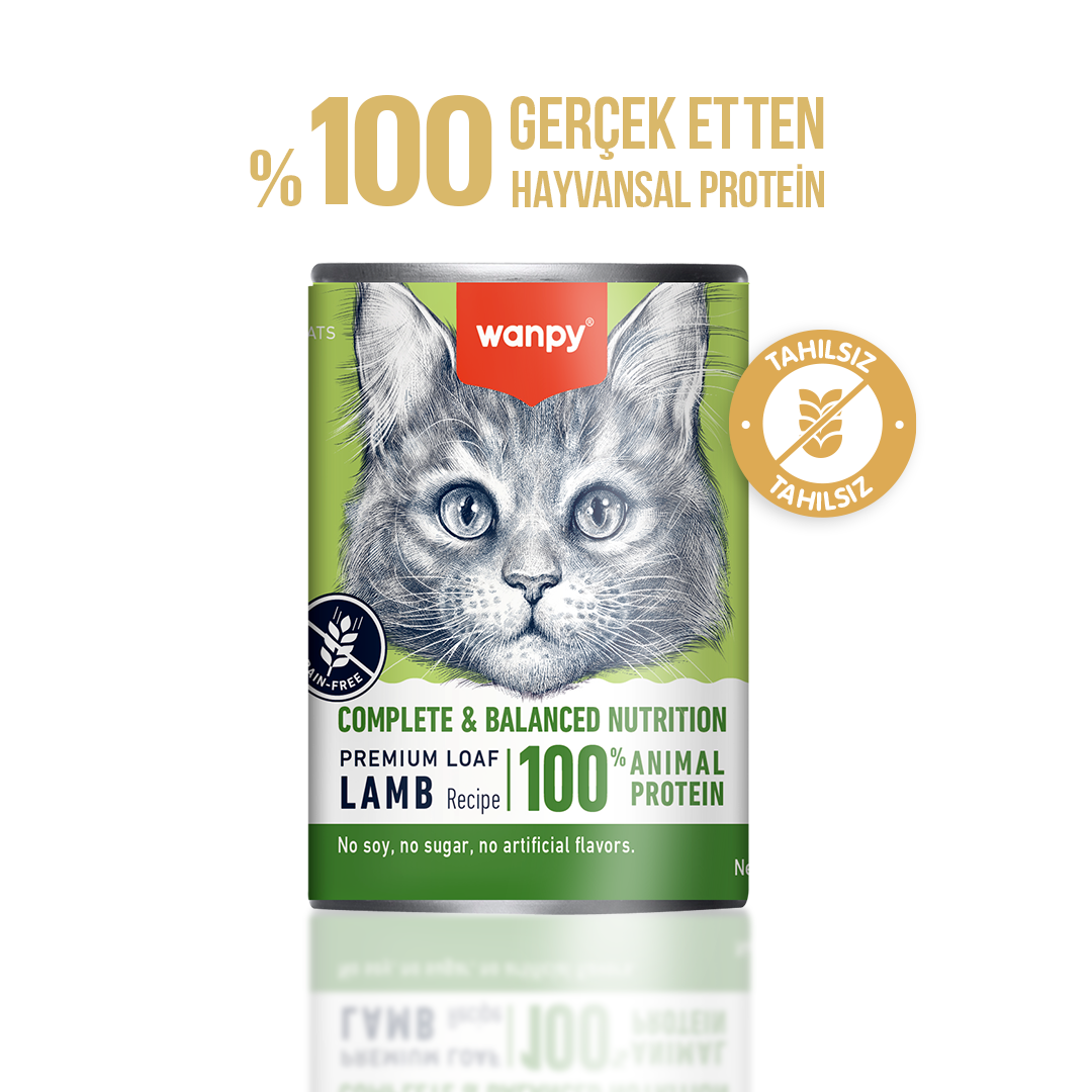 Wanpy Tahılsız Kedi %100 Gerçek Et Kuzulu Konserve 375 gr
