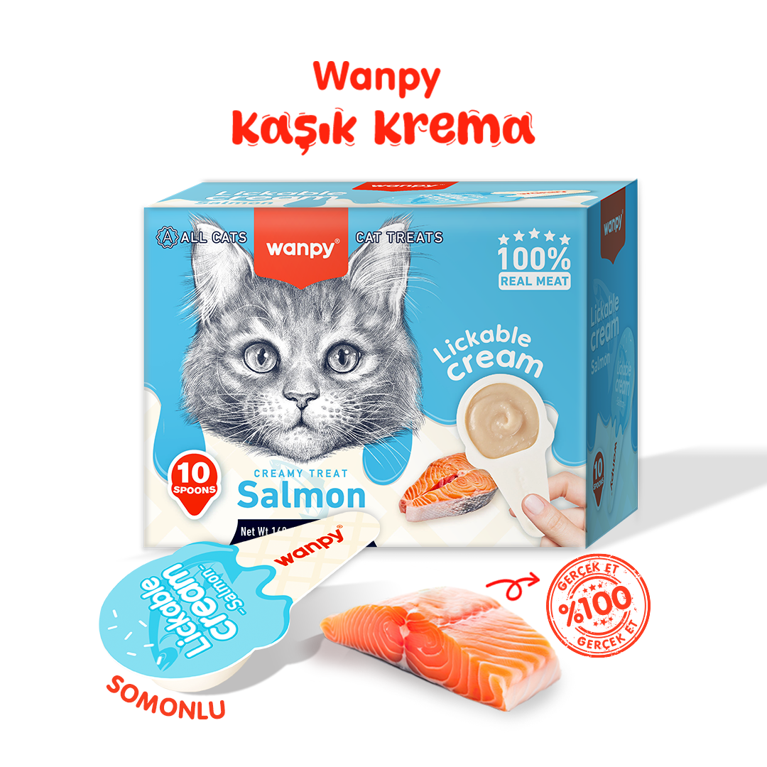 Wanpy Somonlu Kaşıklı Kedi Ödül Kreması 10x16gr