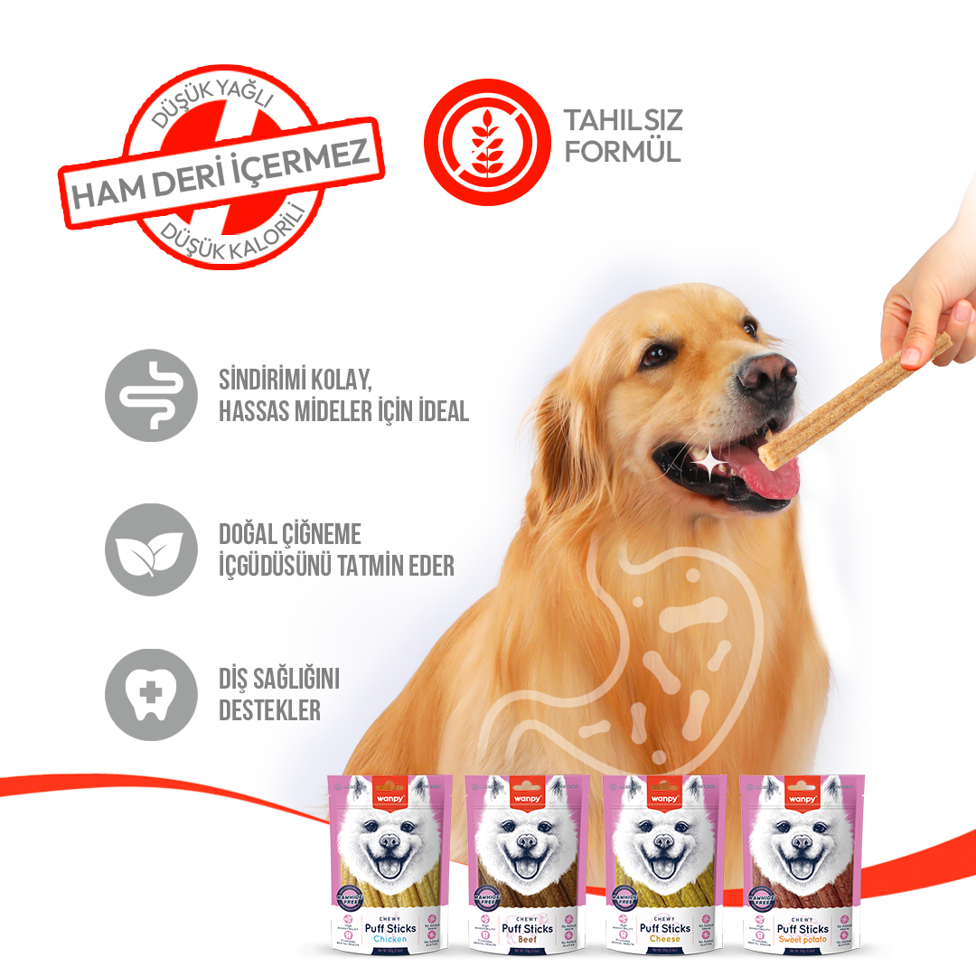 Wanpy Tahılsız Tavuklu Köpek Çiğneme Ödülü 100g