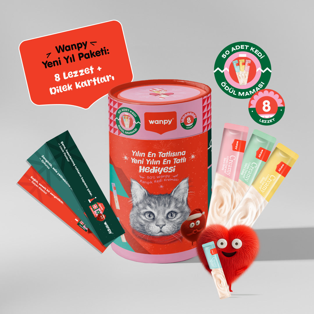 Wanpy Kedi Ödül Kreması Yılbaşı Paketi 50'li