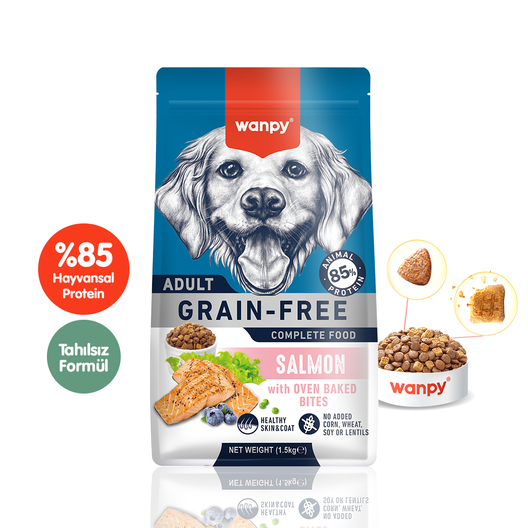 Wanpy Tahılsız Somonlu Yetişkin Köpek Maması 1.5kg – Wanpy Pet Food