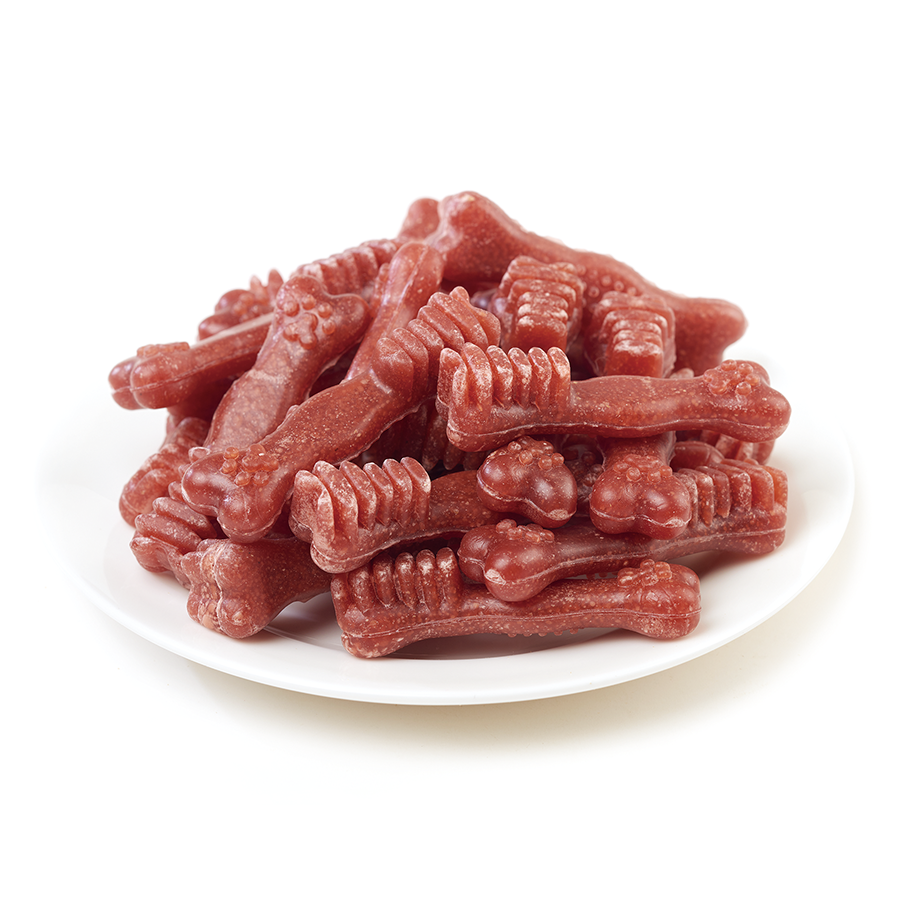 Wanpy Dental Köpek Ödülü