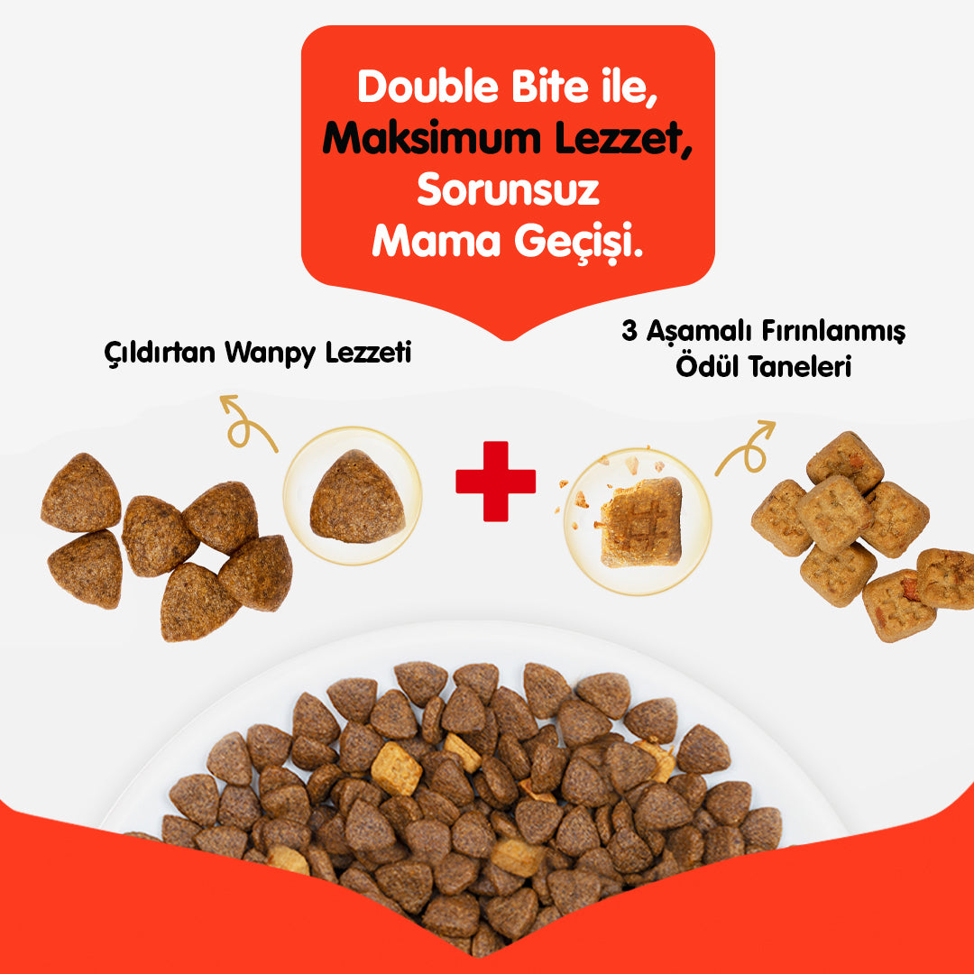 Wanpy Tahılsız Sığır Etli Yetişkin Köpek Maması 1,5 kg – Wanpy Pet