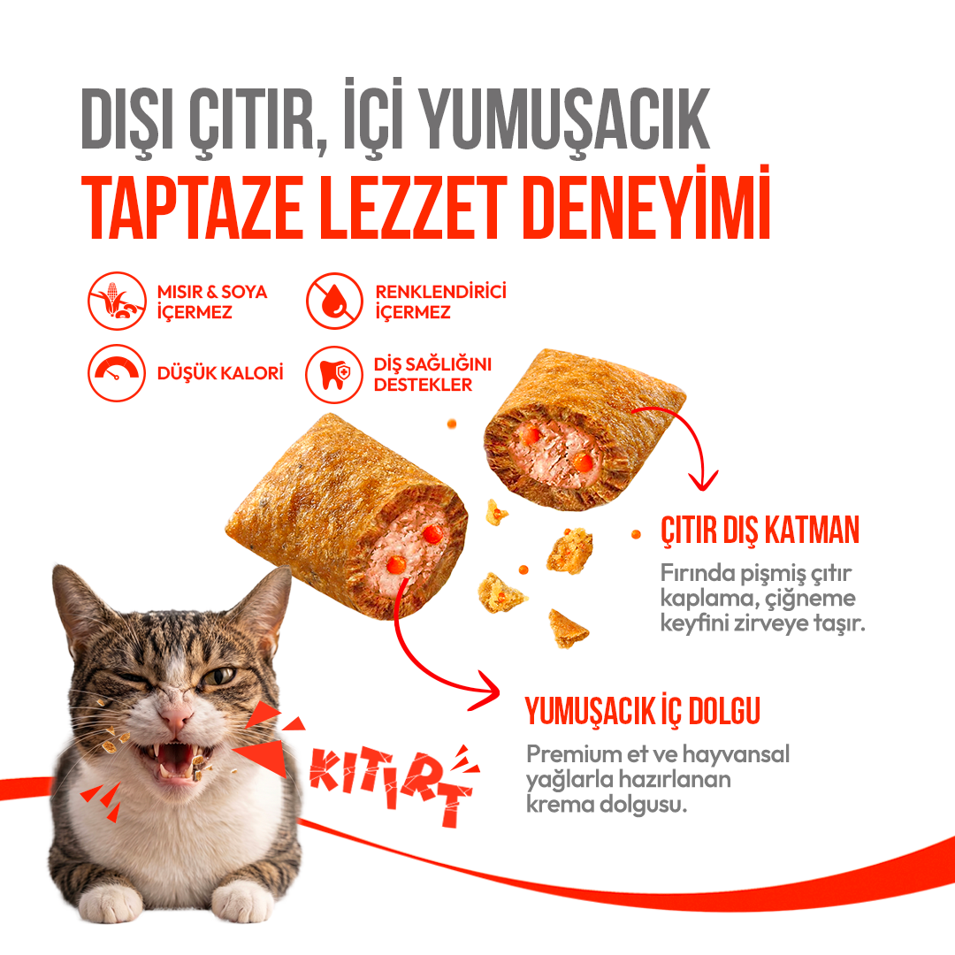Wanpy Kedi Crunch Ödül Somon & Havyar 60g