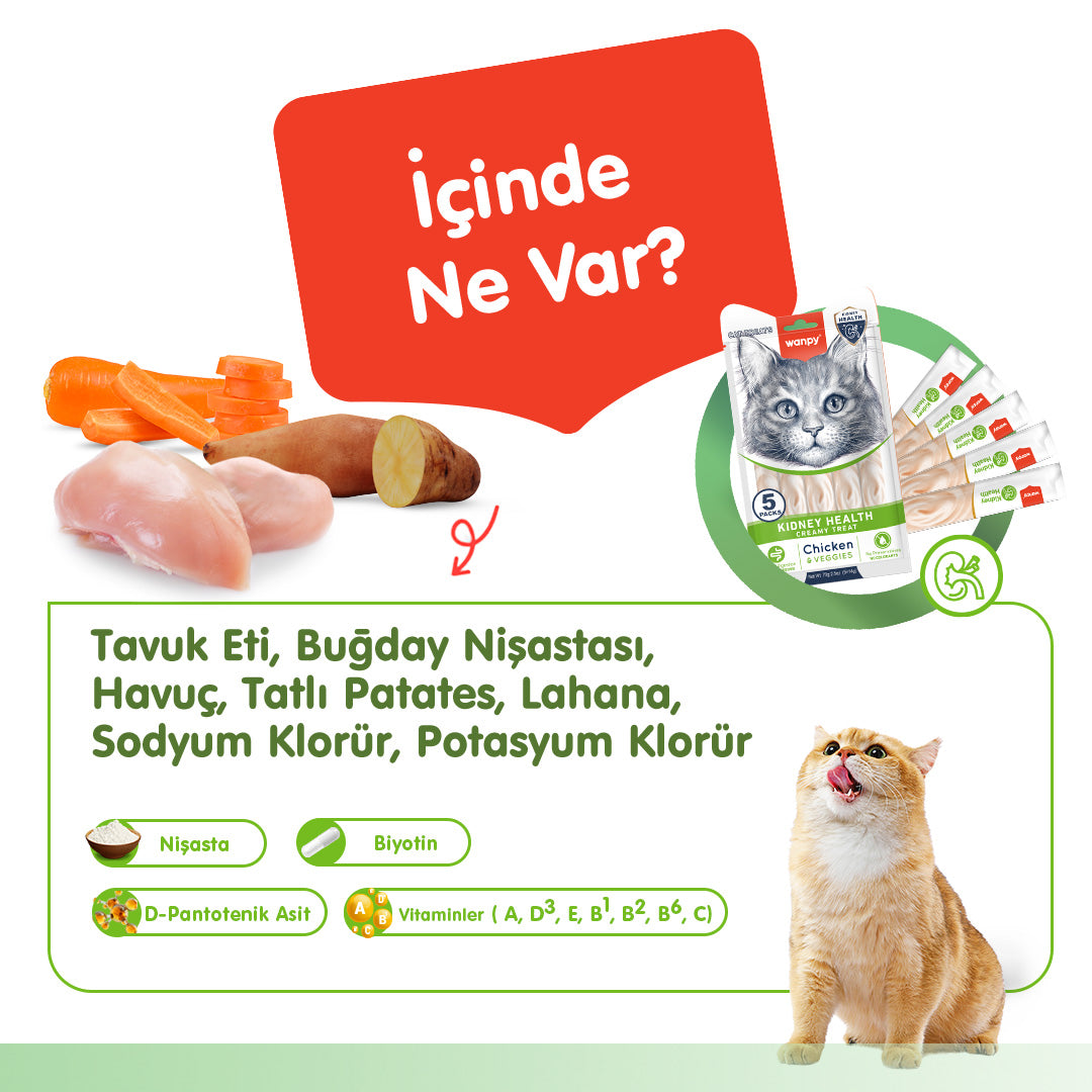 Wanpy Böbrek Sağlığı Destekleyici Fonksiyonel Kedi Kreması