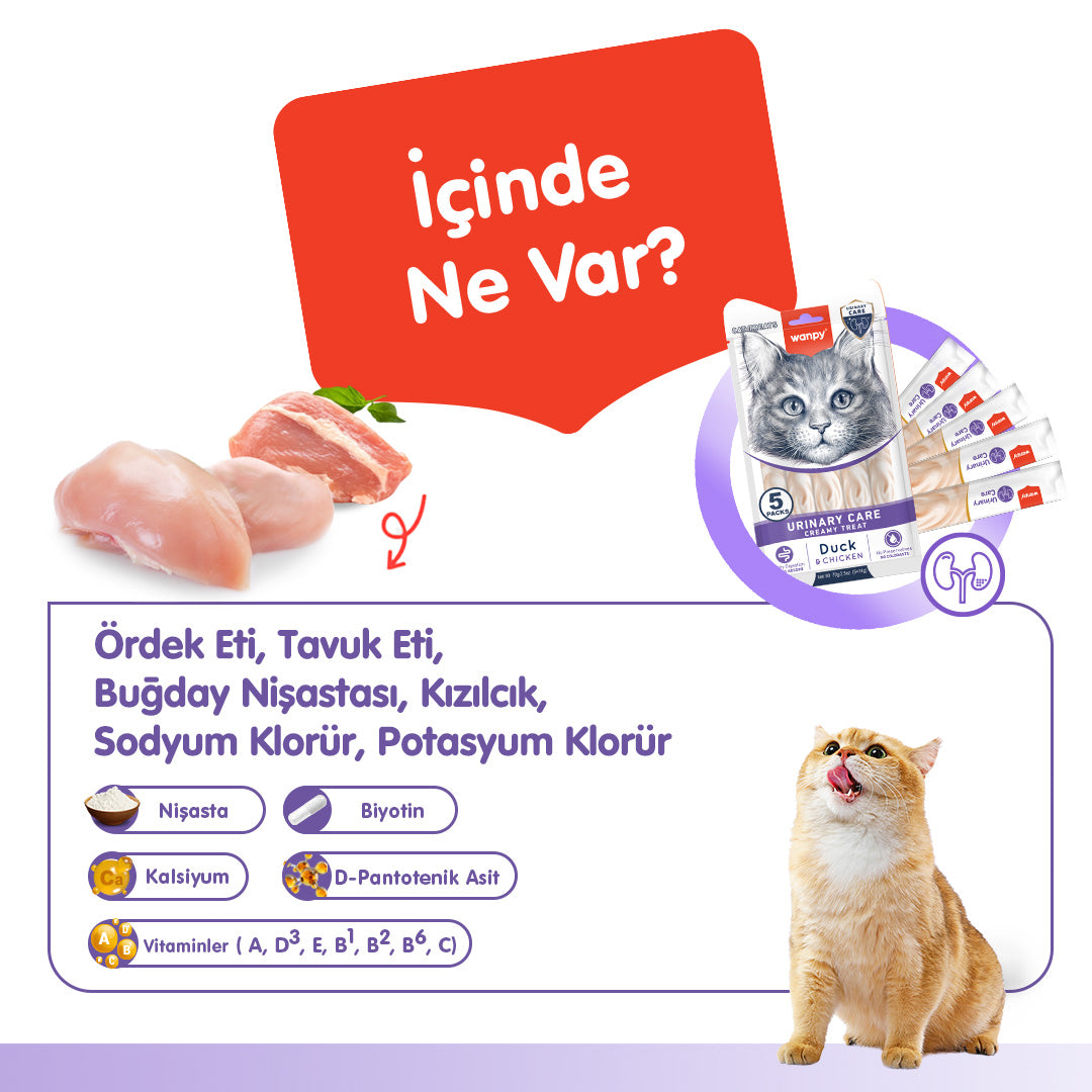 Wanpy Üriner Sistem Sağlığı Destekleyici Fonksiyonel Kedi Kreması
