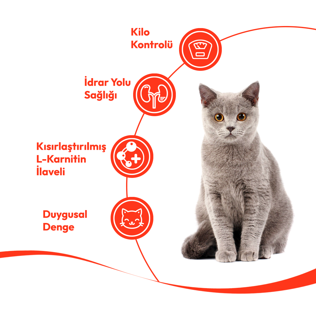 Wanpy Hindi & Kızılcıklı Kısırlaştırılmış Kedi Krema Ödülü